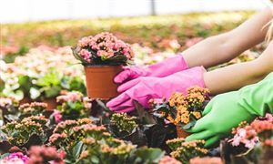 2024年集装箱物流行业发展及投资前景航运物流行业未来发展趋向(图2)