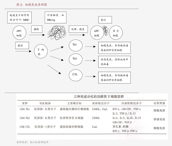 长江证券-交运行业周专题2024W26：亚马逊布局全托管集运运价持续上涨(图1)