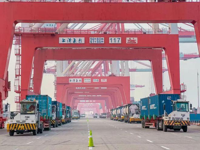 中国经济韧性增长！上港集团年赚150亿航运界(图2)