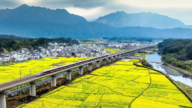 数读交通——《2024上海综合交通发展分析报告》出炉！(图6)