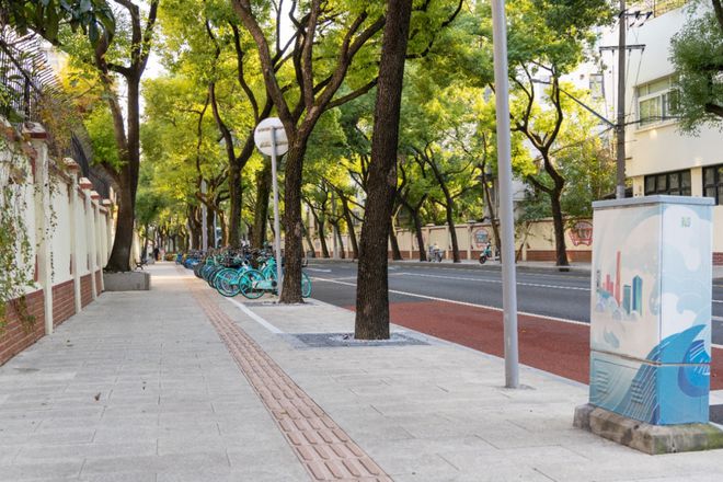 数读交通——《2024上海综合交通发展分析报告》出炉！(图23)