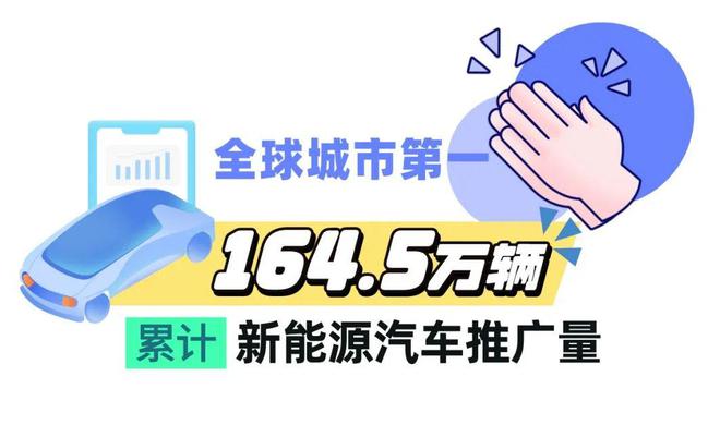 数读交通——《2024上海综合交通发展分析报告》出炉！(图26)