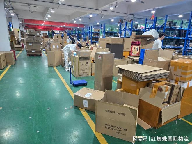 对比其他集运公司红蜘蛛集运为澳洲华人省钱省心(图1)